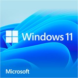 Windows 11 Home 1 licens(er), Software