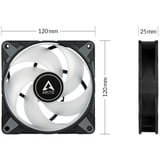 ARCTIC P12 PWM PST RGB 0dB Computerkabinet Ventilator 12 cm Sort, Hvid 1 stk, Sag fan Sort/gennemsigtig, Ventilator, 12 cm, 2000 rpm, 48,8 kubikfod/min., 82,91 m³/t, Sort, Hvid