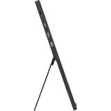 ASUS MB16NCG, LED-skærm Sort