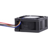 Alphacool 24823 Computerkølesystem Universel Ventilator 4 cm Sort 1 stk, Sag fan Sort, Ventilator, 4 cm, 400 rpm, 10000 rpm, 36 dB, 20,39 m³/t