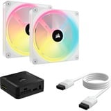 Corsair iCUE LINK QX140 RGB 140 mm PWM blæser, Sag fan Hvid
