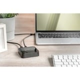 Digitus Dobbelt M.2 NVM SSD dockingstation, Docking station Sort