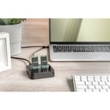 Digitus Dobbelt M.2 NVM SSD dockingstation, Docking station Sort