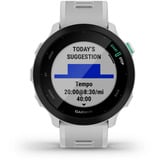 Garmin SmartWatch Lys grå/Sort