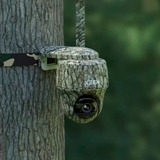 Reolink Overvågningskamera camouflage