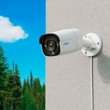 Reolink P330 Kugle (form) IP-sikkerhedskamera Indendørs & udendørs 3840 x 2160 pixel Væg, Overvågningskamera Hvid/Sort, IP-sikkerhedskamera, Indendørs & udendørs, Ledningsført, Google Assistant, Væg, Hvid