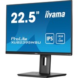 iiyama LED-skærm Sort (mat)