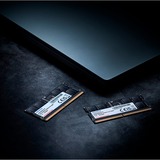 ADATA AD5S560032G-S, Hukommelse Sort