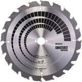 Bosch 2 608 640 691 rundsavklinge 31,5 cm 1 stk Byggetræ, 31,5 cm, 3 cm, 2,2 mm, 3,2 mm, 7/42