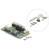 DeLOCK Mini PCIe I/O PCIe fuld størrelse 1 x Parallel, 2 x Seriel, Interface card 