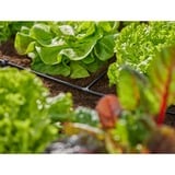GARDENA Micro-Drip-System T-stykke 4,6mm (3/16"), Forbindelse mørk grå