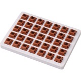 Keychron Key switch Brown