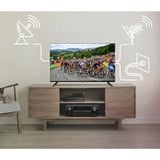 Medion LIFE MD 832003 med DVD-afspiller, LED-tv Sort