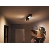 Philips Hue 929003808401, LED lys Sort