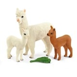 Schleich WILD LIFE 42544 legetøjsfigur til børn, Spil figur 3 År, Brun, Hvid