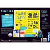 KOSMOS 620899, Eksperiment boks 