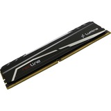 Mushkin Redline hukommelsesmodul 32 GB 2 x 16 GB DDR4 3600 Mhz Sort, 32 GB, 2 x 16 GB, DDR4, 3600 Mhz, 288-pin DIMM