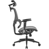 Sharkoon OfficePal C30M, Stol grå