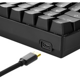 Sharkoon SGK50 S4 tastatur USB QWERTY Italiensk Sort, Gaming-tastatur Sort, It-layout, Kalih rød, 60%, USB, QWERTY, RGB LED, Sort