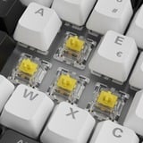 Sharkoon SKILLER SGK50 S3, Gaming-tastatur Hvid, PT-layout, Gateron Yellow
