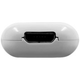 Shelly Pillen, Forlængelse modul Hvid