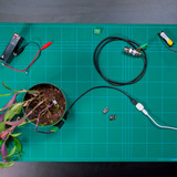 Shelly Pillen, Forlængelse modul Hvid