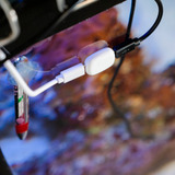 Shelly Pillen, Forlængelse modul Hvid