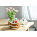 Steba 28.34.00, Makulering rustfrit stål/Sort