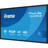 iiyama T5529AS-B1AG, LED-skærm Sort (mat)