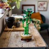 LEGO Botanicals Lykkebambus, Bygge legetøj Byggesæt, 18 År, Plast, 325 stk, 379 g