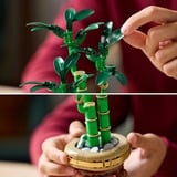 LEGO Botanicals Lykkebambus, Bygge legetøj Byggesæt, 18 År, Plast, 325 stk, 379 g