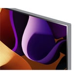 LG OLED-TV Sølv/Sort