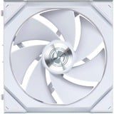 Lian Li LULI-090, Sag fan Hvid