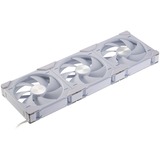 Phanteks PH-F140D30_DRGB_PWM_WT01_3P, Sag fan Hvid