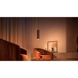 Philips Hue Perifo cylinderpendel, Lampe Sort, Philips Hue White and Color ambiance Perifo cylinderpendel, Intelligent affjedringslys, Bluetooth, Sort, Integreret LED, Metal, Hvid