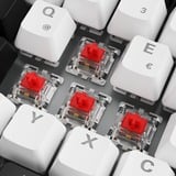 Sharkoon SKILLER SGK50 S3, Gaming-tastatur Hvid, DE-layout, Gateron red