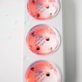 Shelly Julepakke 1, Sæt 