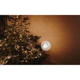 Shelly Julepakke 1, Sæt 