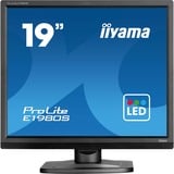 iiyama E1980S-B1, LED-skærm Sort (mat)