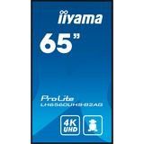 iiyama LH6560UHS-B2AG, Offentlig visning Sort (mat)