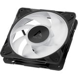 ARCTIC Freezer P12 Pro A-RGB Computerkabinet Ventilator 12 cm Sort, Hvid 1 stk, Sag fan Sort, Ventilator, 12 cm, 131 m³/t, Sort, Hvid