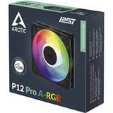 ARCTIC Freezer P12 Pro A-RGB Computerkabinet Ventilator 12 cm Sort, Hvid 1 stk, Sag fan Sort, Ventilator, 12 cm, 131 m³/t, Sort, Hvid