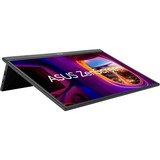 ASUS MB17AHG, LED-skærm Sort