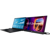 ASUS MB17AHG, LED-skærm Sort