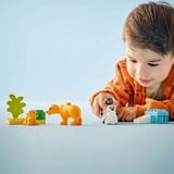 LEGO 10442, Bygge legetøj 