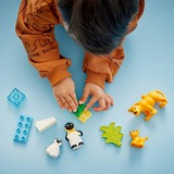 LEGO 10442, Bygge legetøj 