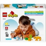 LEGO DUPLO Vilde dyrefamilier: pingviner og løver, Bygge legetøj Byggesæt, 2 År, Plast, 10 stk, 179 g