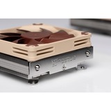 Noctua Kühler NH-L9i 17xx Processor Køler 9,2 cm Beige, Brun 1 stk, CPU køler Køler, 9,2 cm, 600 rpm, 2500 rpm, 23,6 dB, 57,5 m³/t