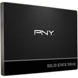 PNY CS900 250 GB, Solid state-drev 