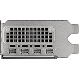 PNY NVIDIA RTX 2000 Ada Generation 16GB SB, Grafikkort 